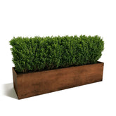 Corten Steel Grande Harvest Garden Bed - Tool Market