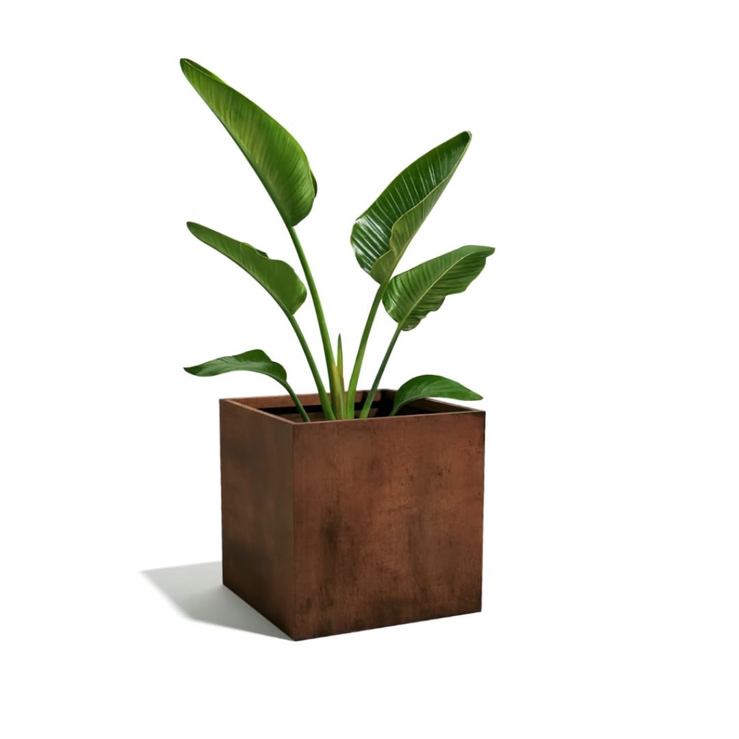 Corten Steel VitaSquare Classic Plant Pot - Tol Market