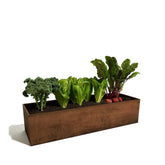 Corten Steel Garden Bed