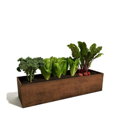 Corten Steel Garden Bed