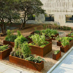 Corten Steel Grande Harvest Garden Bed - Tool Market