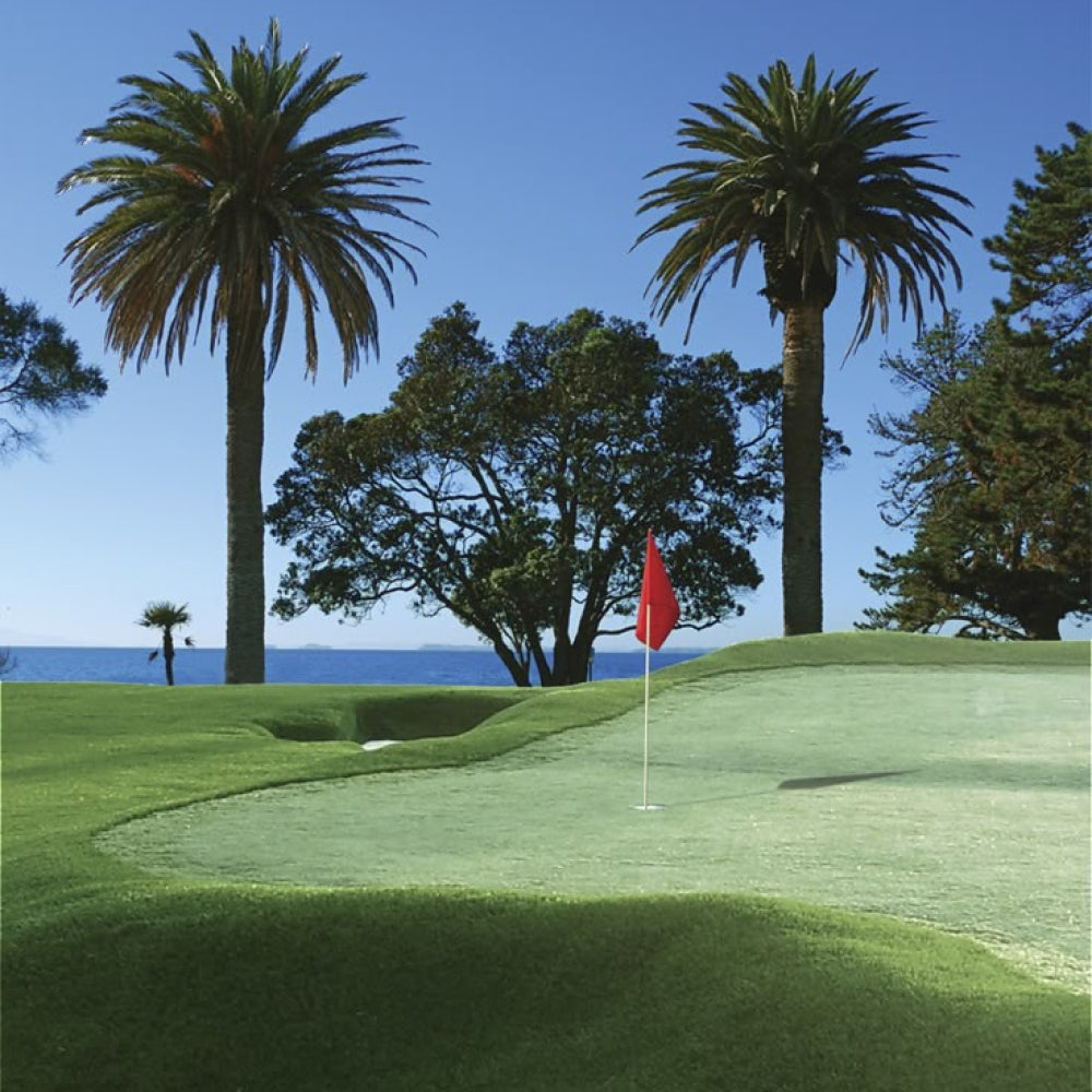 Golf course with professional grass with a red flag and palm trees by the ocean