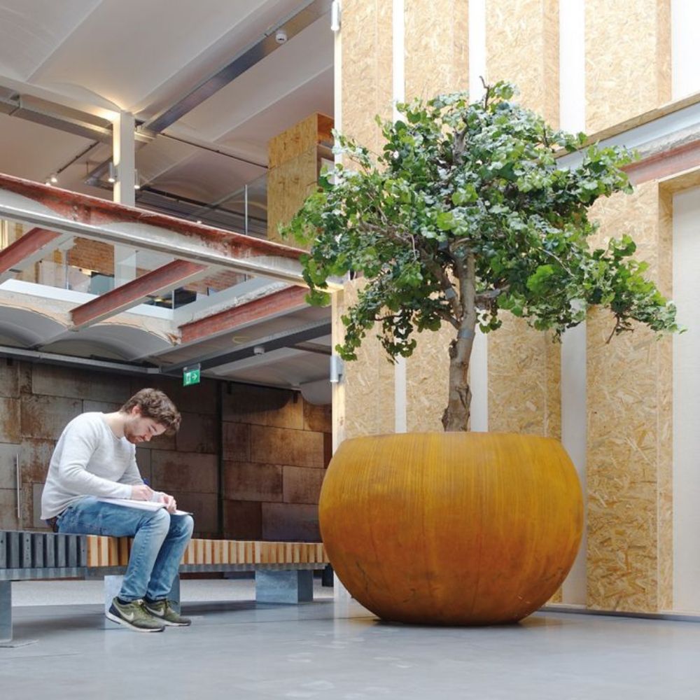 Corten Steel Botanic Bulbs Tree Planter - Tool Market 