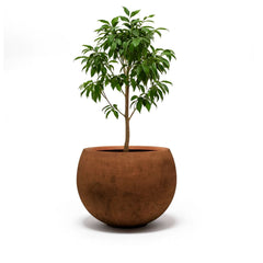 Corten Steel Botanic Bulbs Tree Planter - Tool Market 