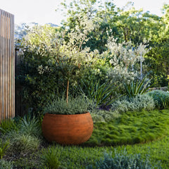 Corten Steel Botanic Bulbs Tree Planter Hover - Tool Market 