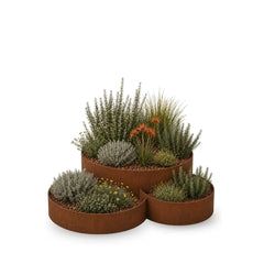 Corten Steel Grove Planter - Tool Market 