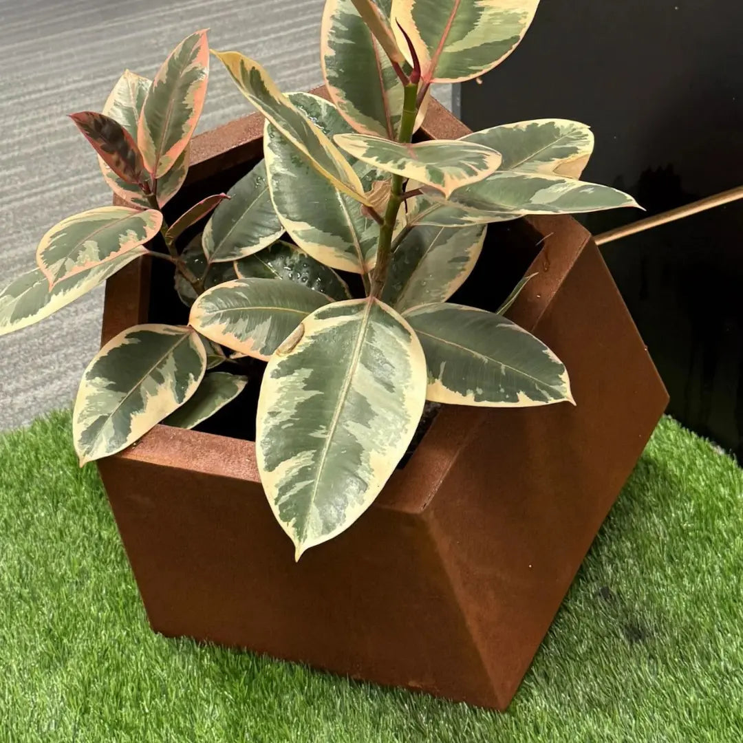 Pentagonal Pot Corten Steel Pentagon Planter Pot – Tool Market
