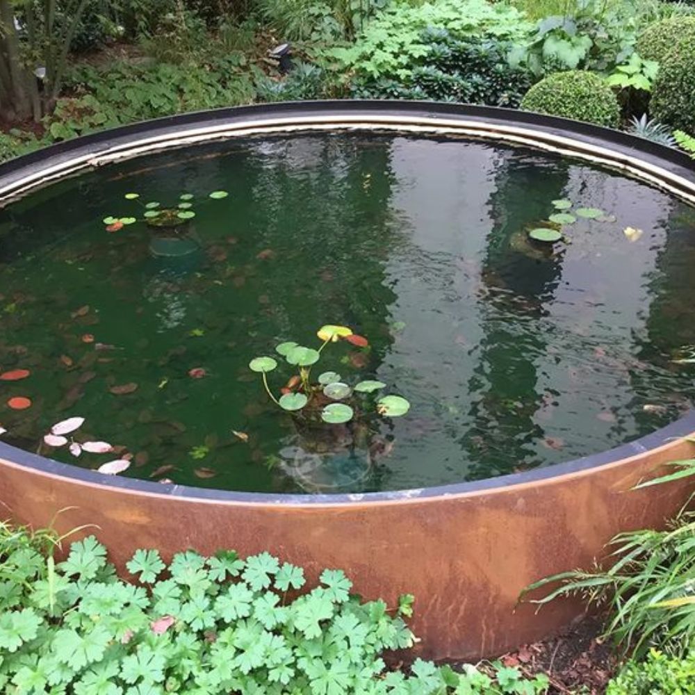 Corten Steel Pisces Water Pond Planter - Tool Market 