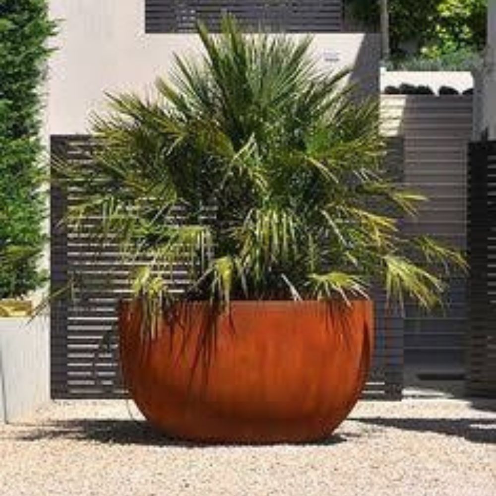 Corten Steel Pisces Water Pond Planter - Tool Market 