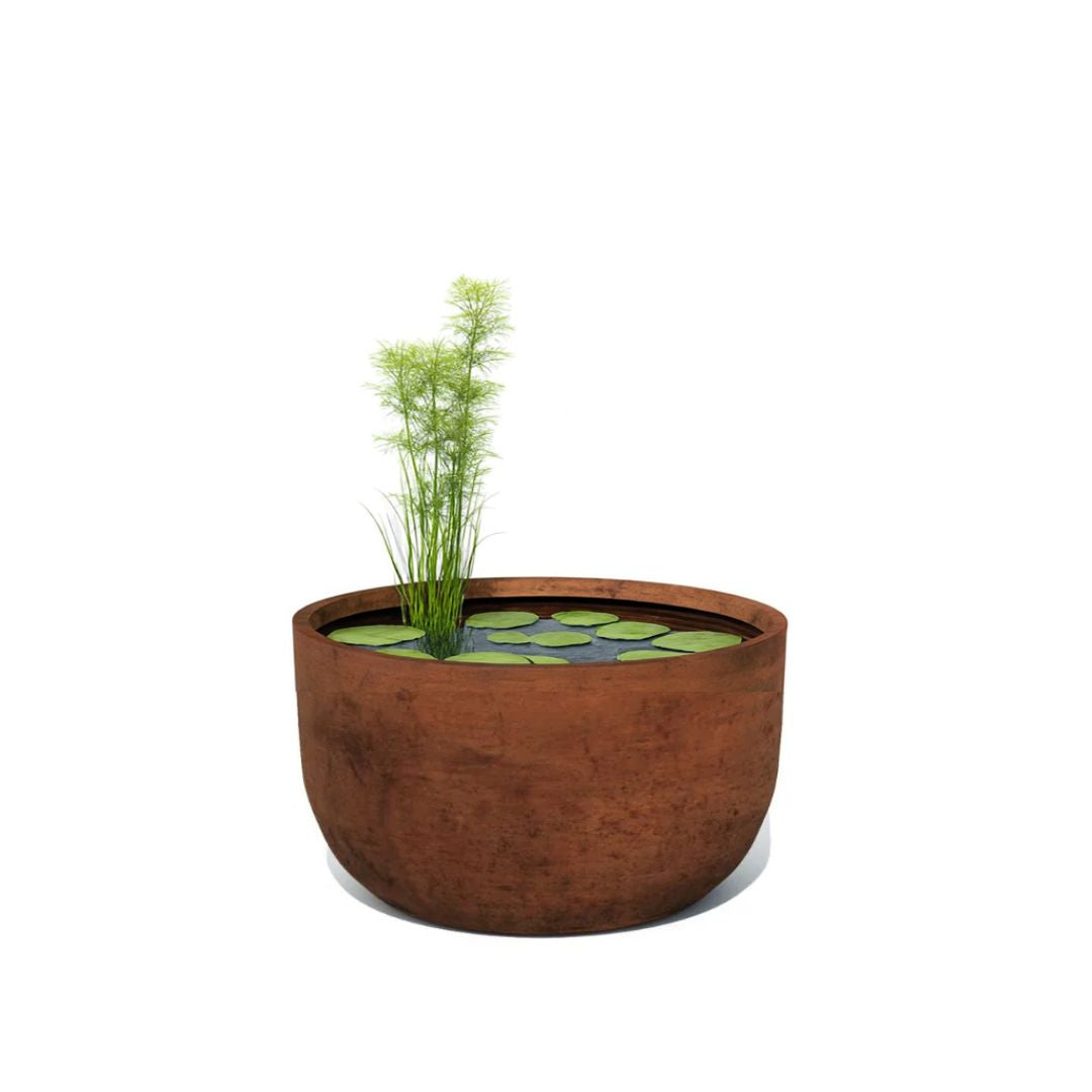 Corten Steel Pisces Water Pond Planter - Tool Market 