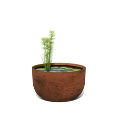 Corten Steel Pisces Water Pond Planter - Tool Market 