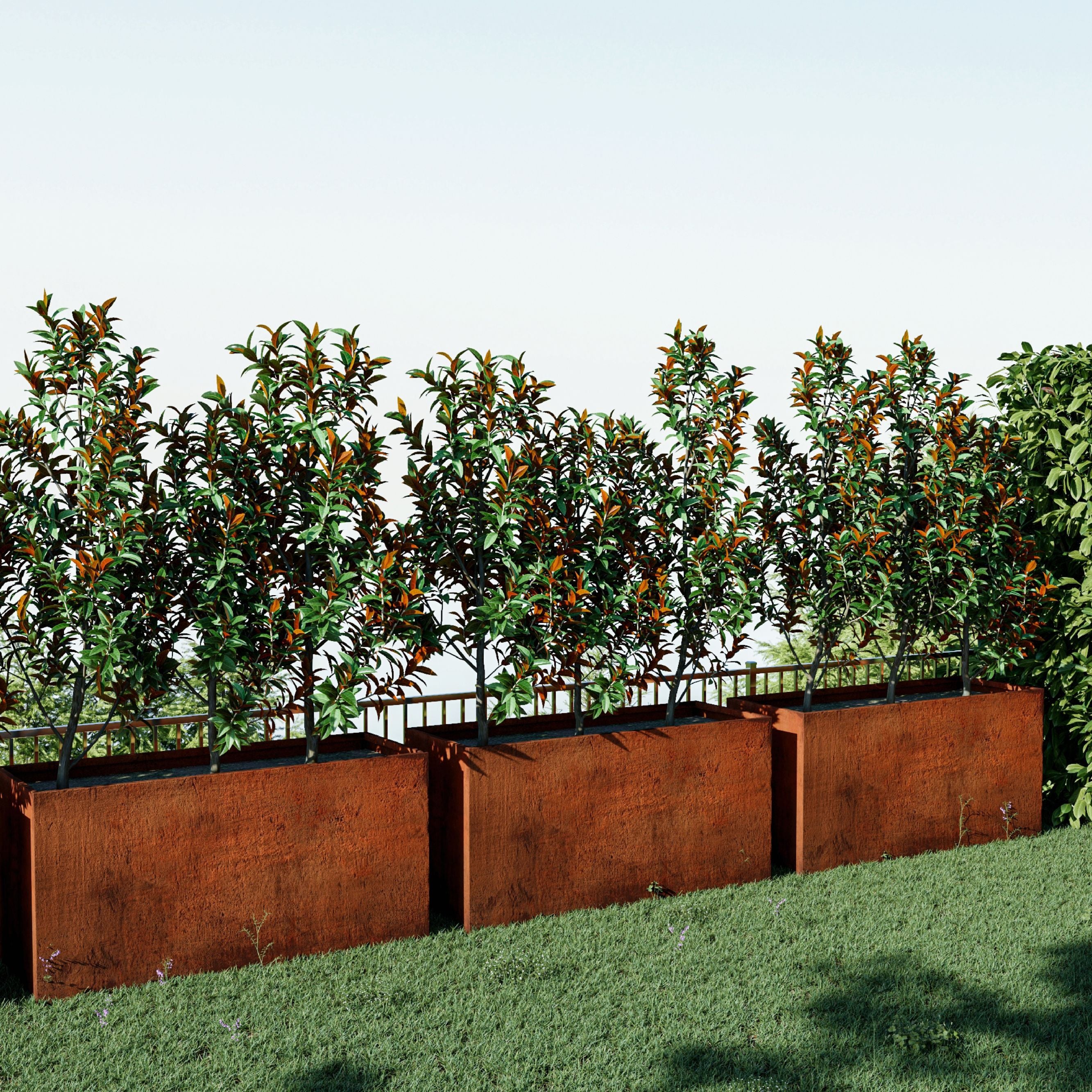 Corten Steel Sentinel Garden Planter Pot Range - Tool Market 