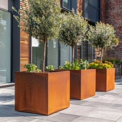 Corten Steel VitaSquare Classic Plant Pot - Tool Market 