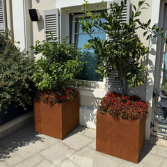 Corten Steel VitaSquare Classic Plant Pot - Tool Market 