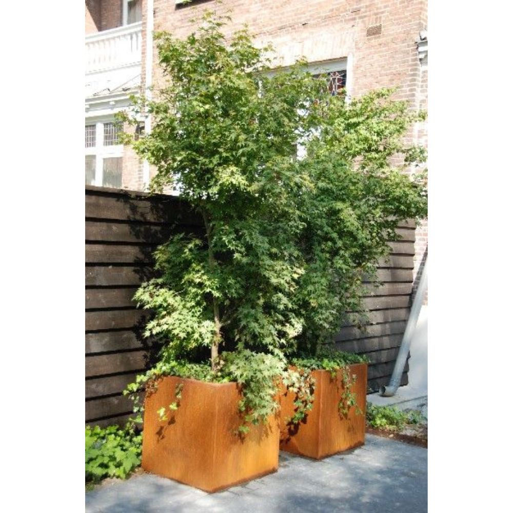Corten Steel VitaSquare Petite Plant Pot - Tool Market
