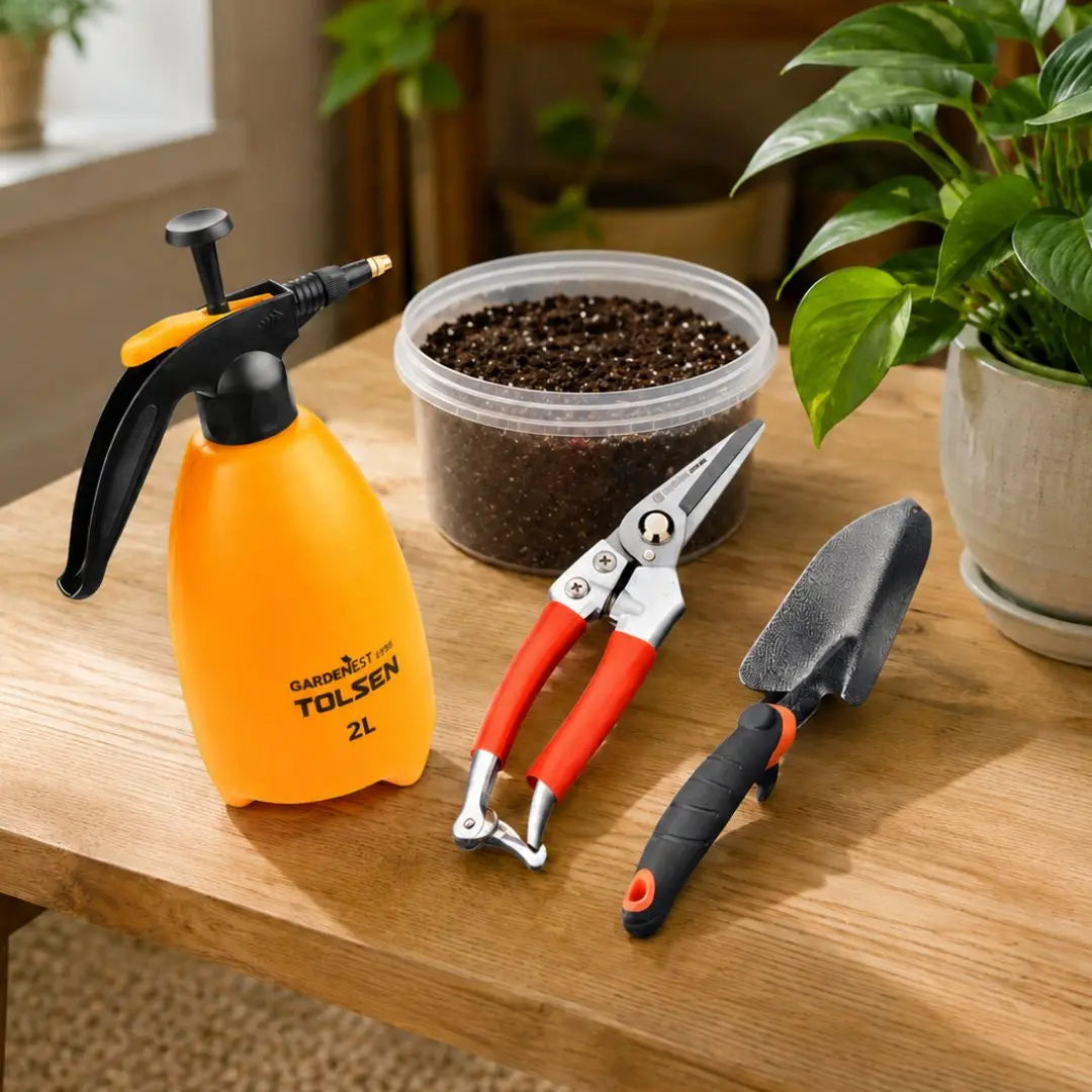 House Plant Bundle - Tool Market 