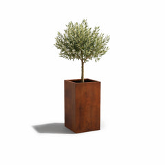 Corten Steel Podium Planter Tall