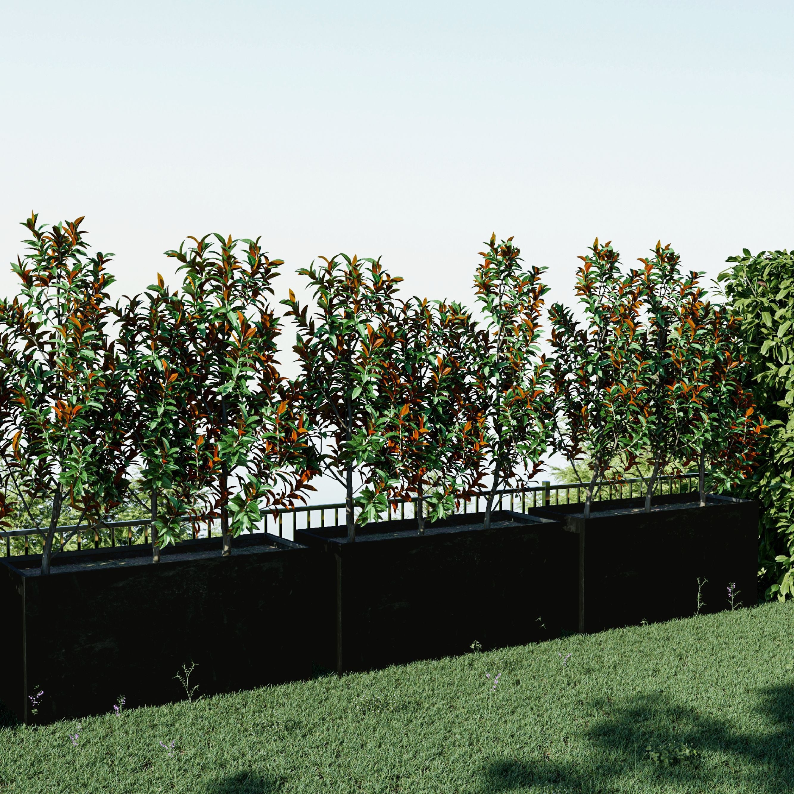 Corten Steel Sentinel Garden Planter Pot in Black