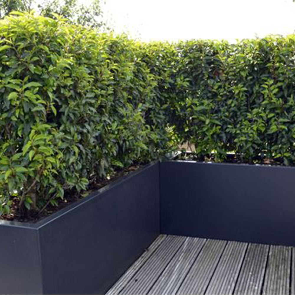 Corten Steel Raised Planter Box Matt Black Finish - Tool Market