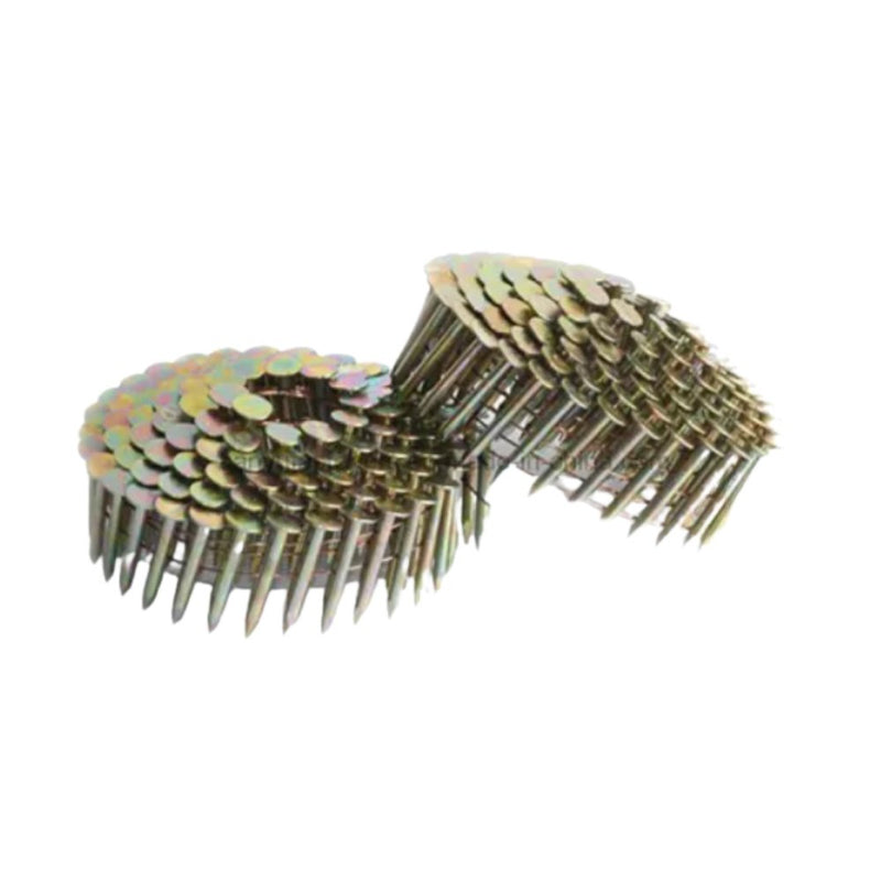 Spencer Western 3.05*19mm Electric Galvanised Coil Roofing Nails, 6000Pcs/Ctn - Tool Market