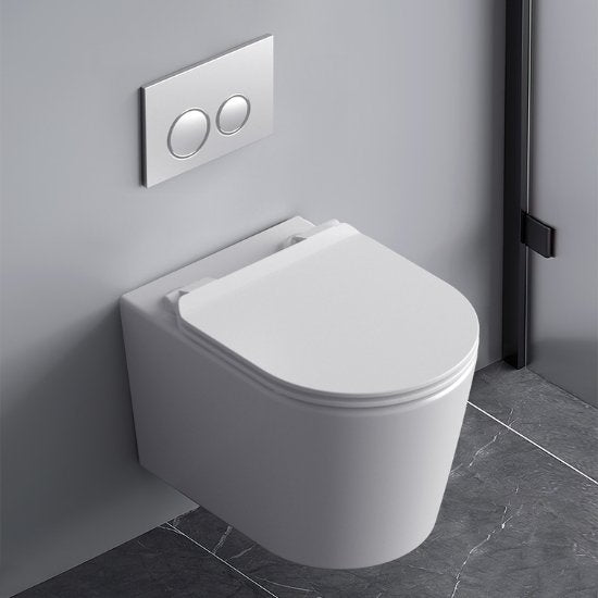 Troya Niagara Rimless Wall Hung Toilet - Tool Market