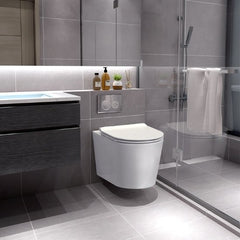Troya Niagara Rimless Wall Hung Toilet - Tool Market