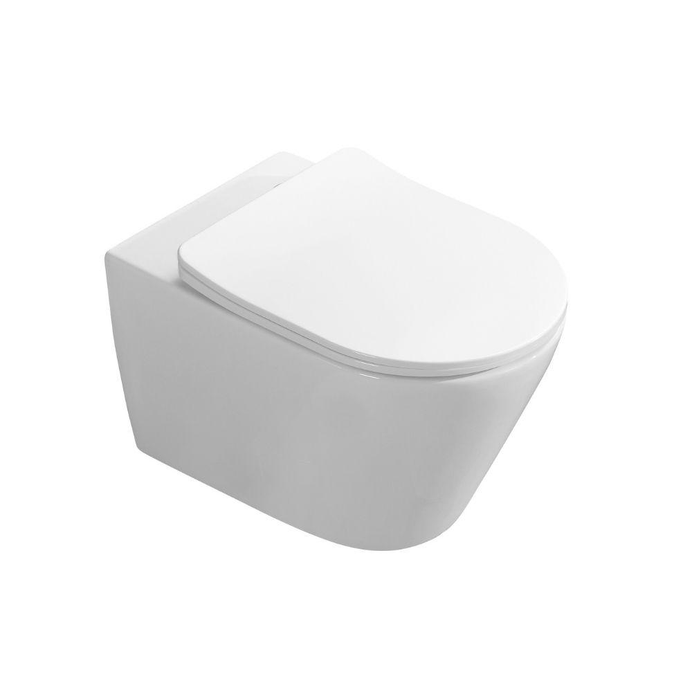 Troya Niagara Rimless Wall Hung Toilet - Tool Market