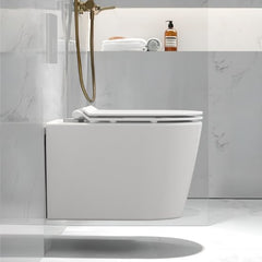 Troya Niagara Rimless Wall Hung Toilet - Tool Market